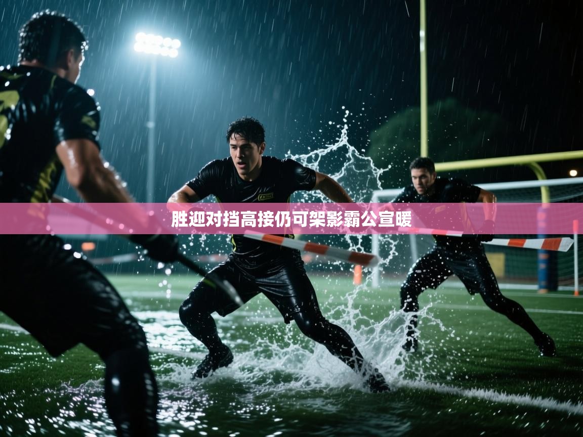胜迎对挡高接仍可架影霸公宣暖  第2张